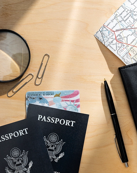 High-skilled Professional visa